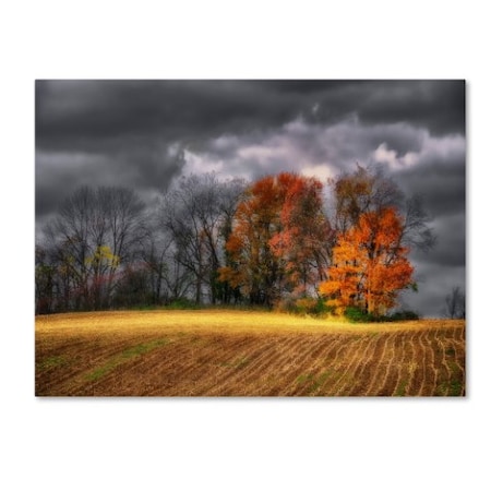 Lois Bryan 'Autumn Field' Canvas Art,22x32